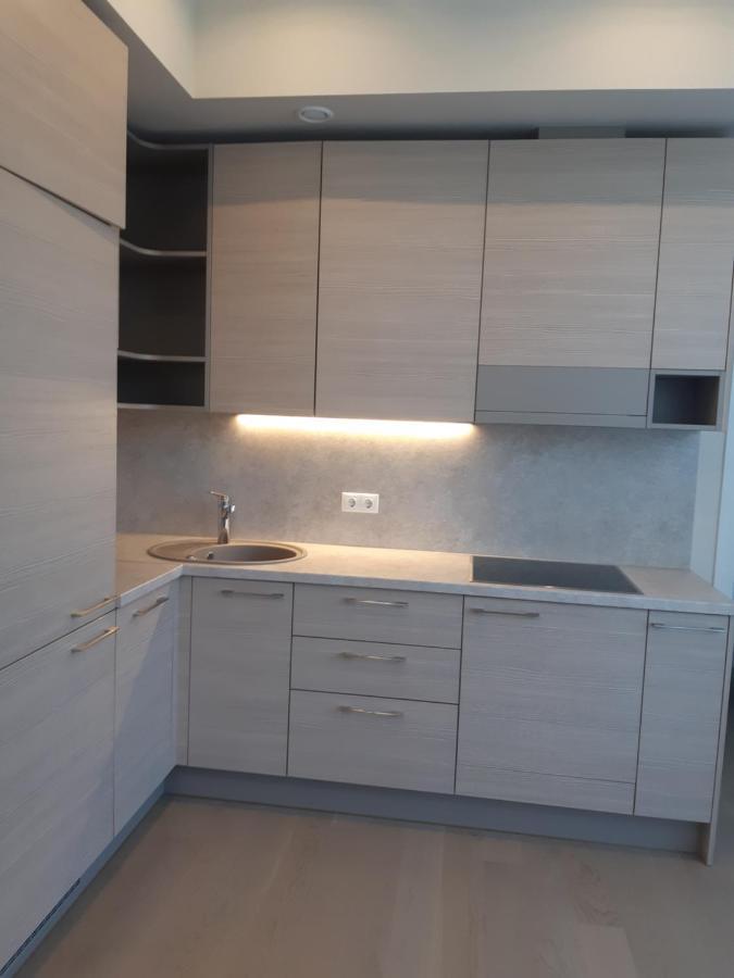 Apartment In Druskininkai City Centre 외부 사진